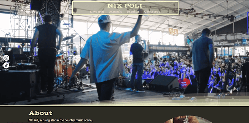Cover image for Independent Musician Website Development (In Progress)