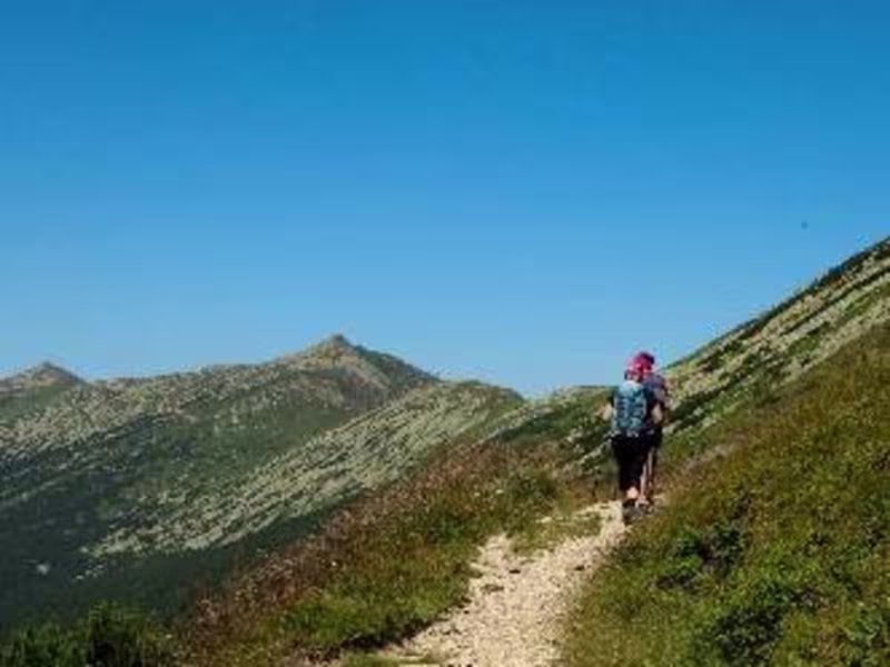 Cover image for Write seo optimized blog posts