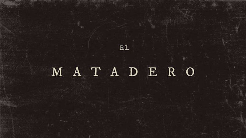 Cover image for Director of Cut Out Short Film