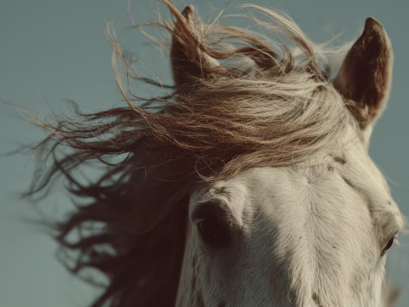 Cover image for Creative Direction Lite – Visual Exploration with AI