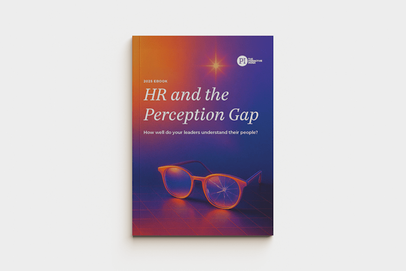 Cover image for The HR and the Perception Gap eBook Design
