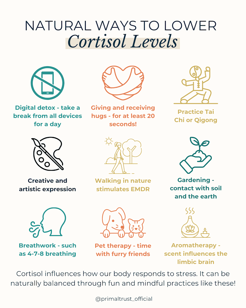 Cover image for Infographic content for Social Media