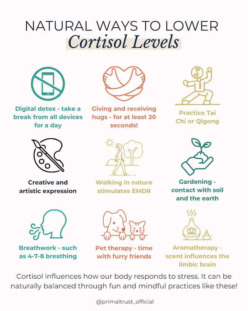 Cover image for Infographic content for Social Media