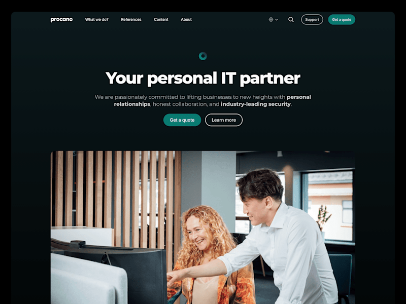 Cover image for Procano: Complete 30+ page company website