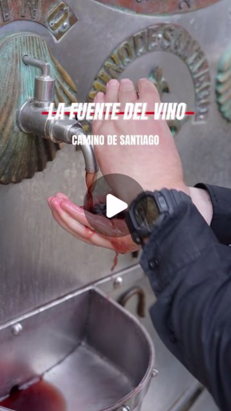 Cover image for Fernando Munarriz | Gastromuna on Instagram: ”🍇Fuente del vino…