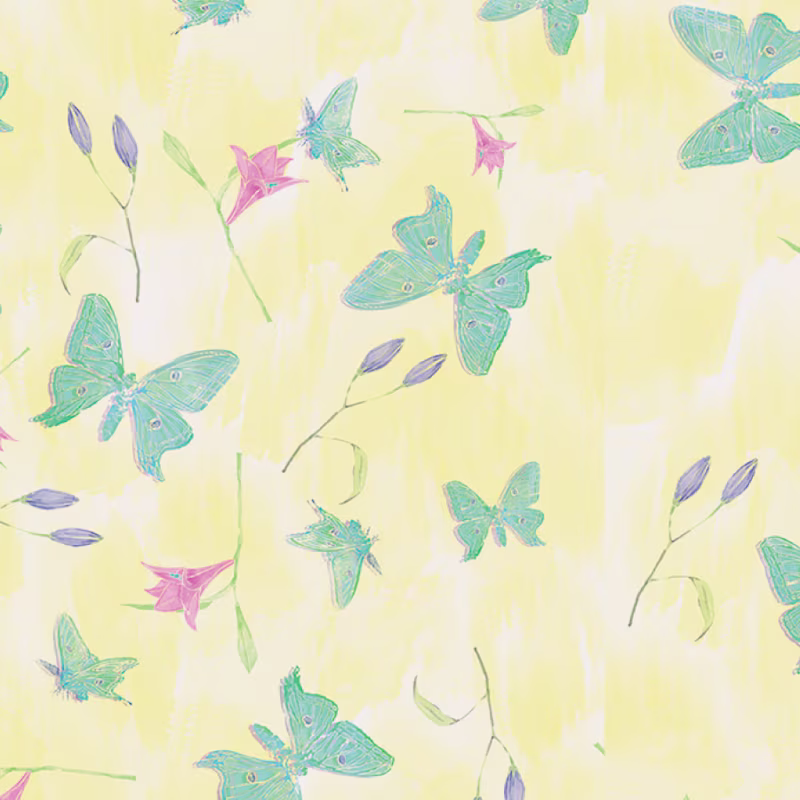 Cover image for Mong