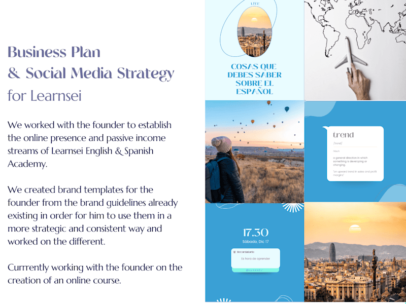 Cover image for Business Plan
& Social Media Strategy
for Learnsei