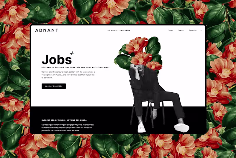 Cover image for Adnant Consulting - Direction, Web Design and WP Development
