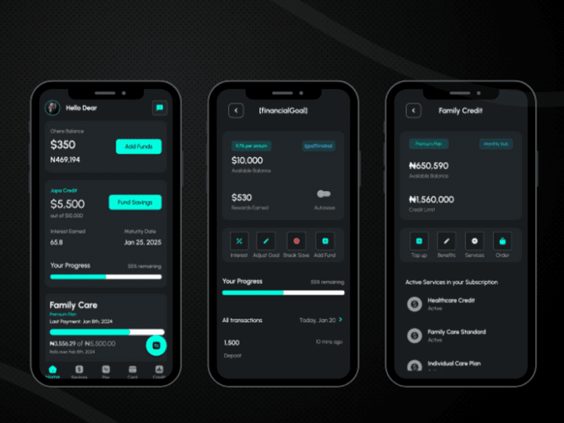 Cover image for Payments Wallet designed and built/W BuildShip & Flutterflow