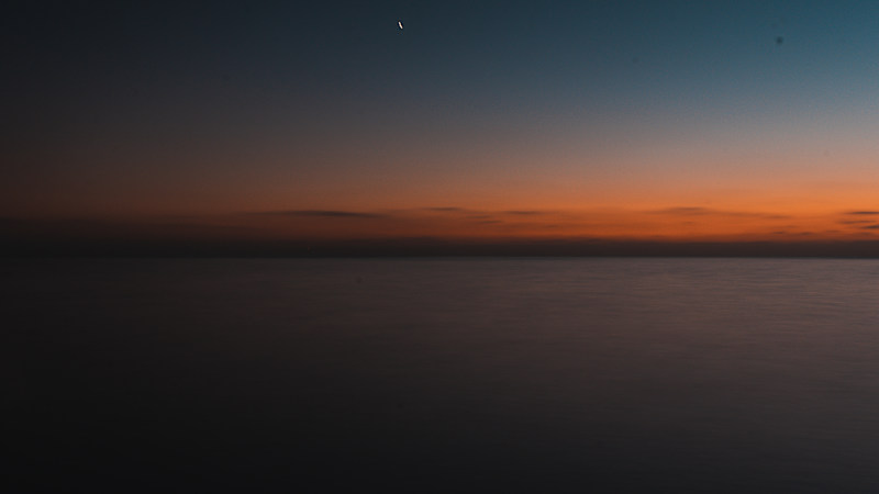 Cover image for WAVES