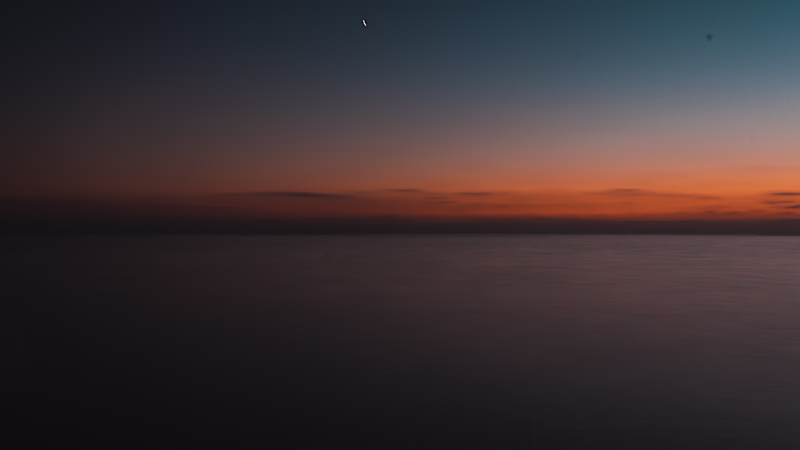 Cover image for WAVES