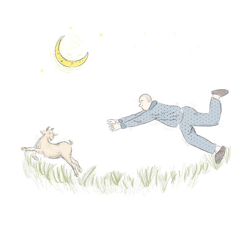 Cover image for Picture book Illustration