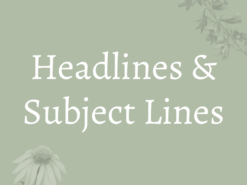 Cover image for Headlines & Subject Lines