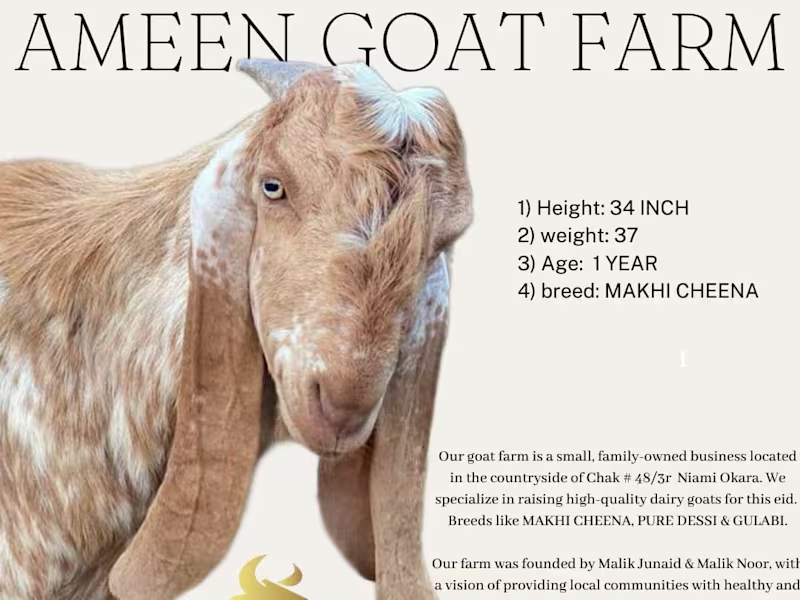 Cover image for social media post design