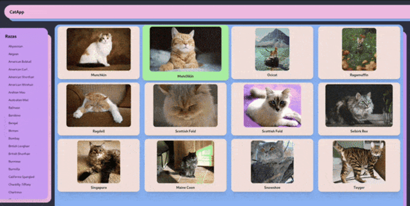 Cover image for CatApp