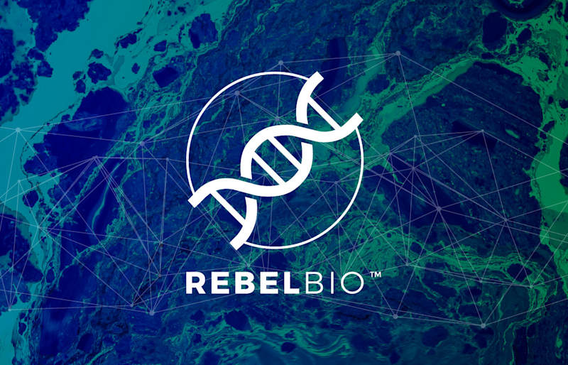 Cover image for RebelBio Rebrand
