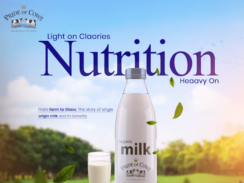 Cover image for "Visual Vibes: Freelance Designs That Captivate!"