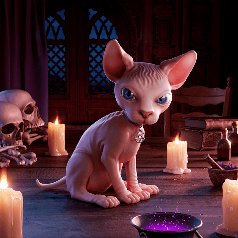 Cover image for Sphynx Cat