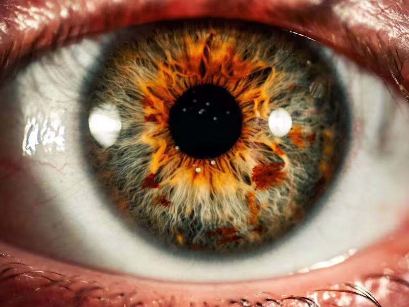 Cover image for I'll manage & grow your performance marketing program