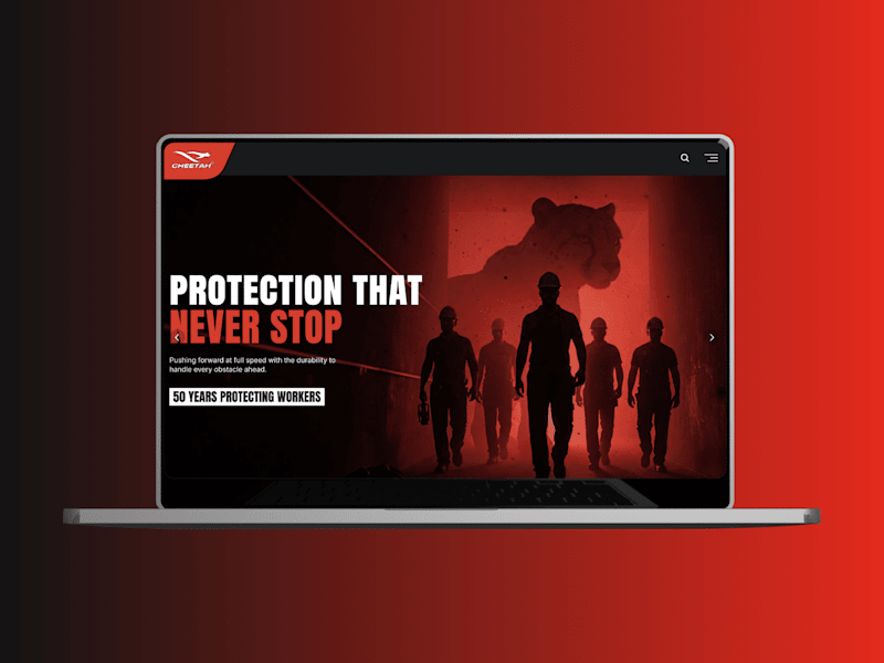 Cover image for Cheetah Safety Shoes