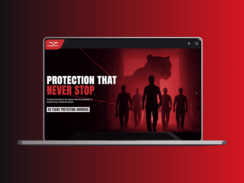 Cover image for Cheetah Safety Shoes