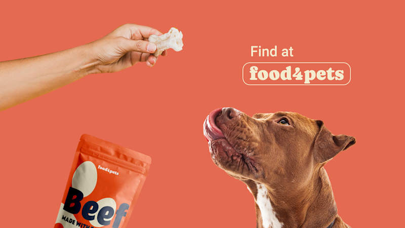 Cover image for Food 4 Pets