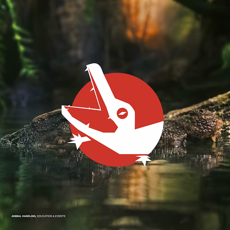 Cover image for Captivating Creatures is a project I worked on for a client ...