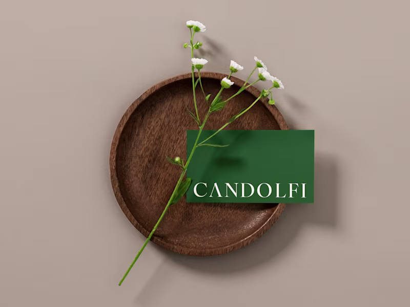 Cover image for Candolfi Hotel