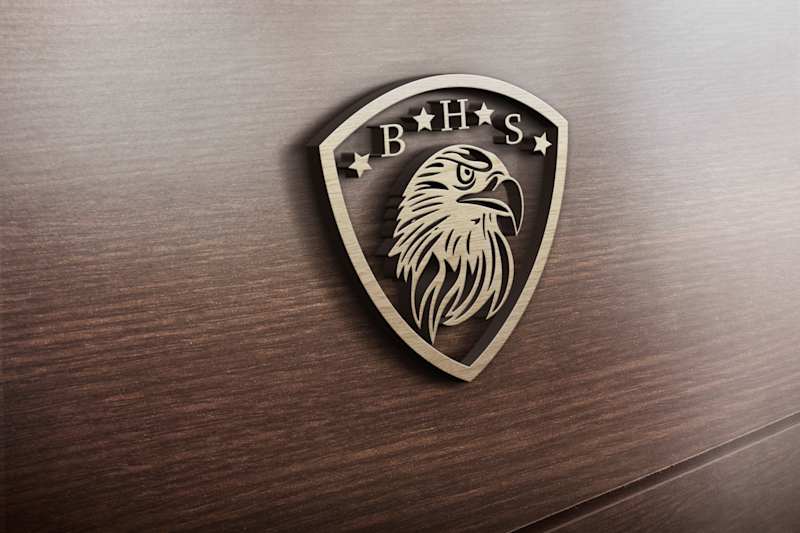 Cover image for Black Hawk Security on Behance