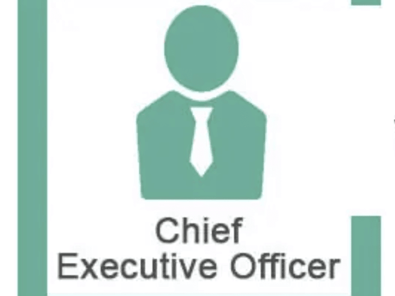 Cover image for Executive Director for Holding