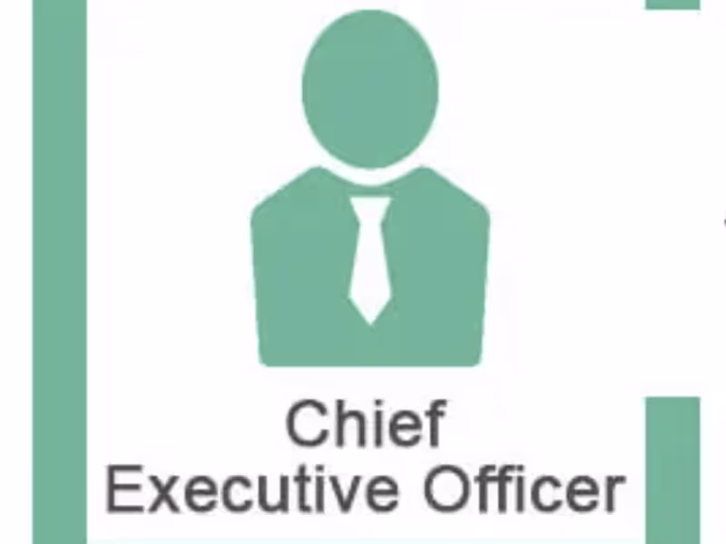 Cover image for Executive Director for Holding