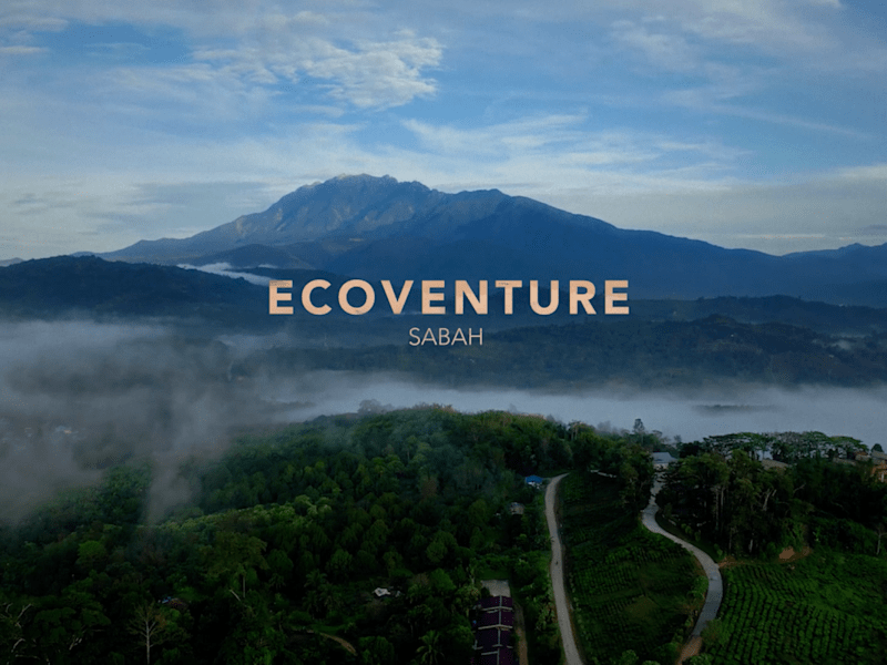 Cover image for Ecoventure Sabah