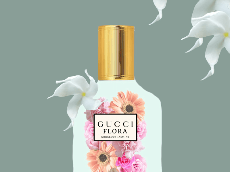 Cover image for Gucci advertising illustration