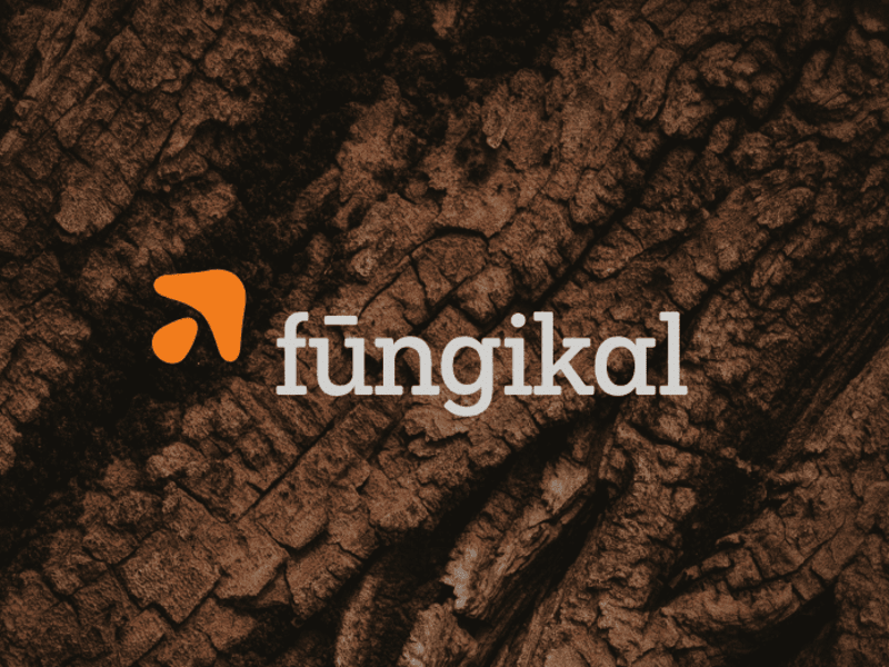 Cover image for Visual Brand Kit - Fungikal
