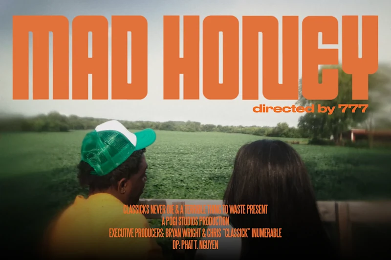 Cover image for theMIND - Mad Honey