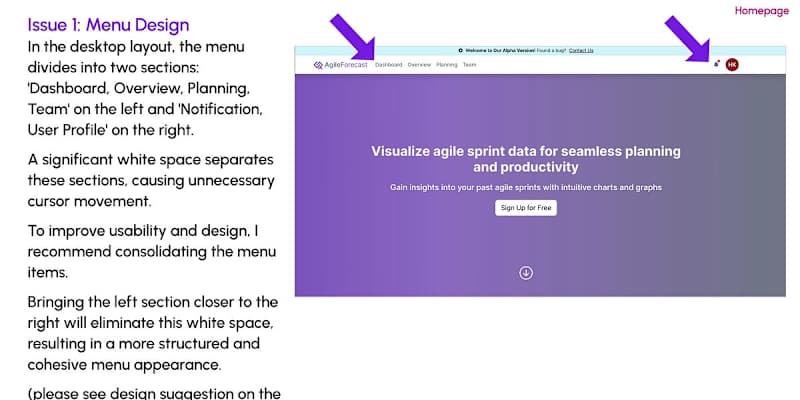 Cover image for 41-Page Report of AgileForecast.dev (Order #515)