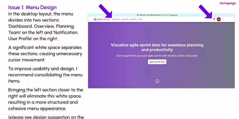 Cover image for 41-Page Report of AgileForecast.dev (Order #515)