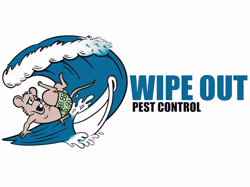 Cover image for Illustrative Logo Design