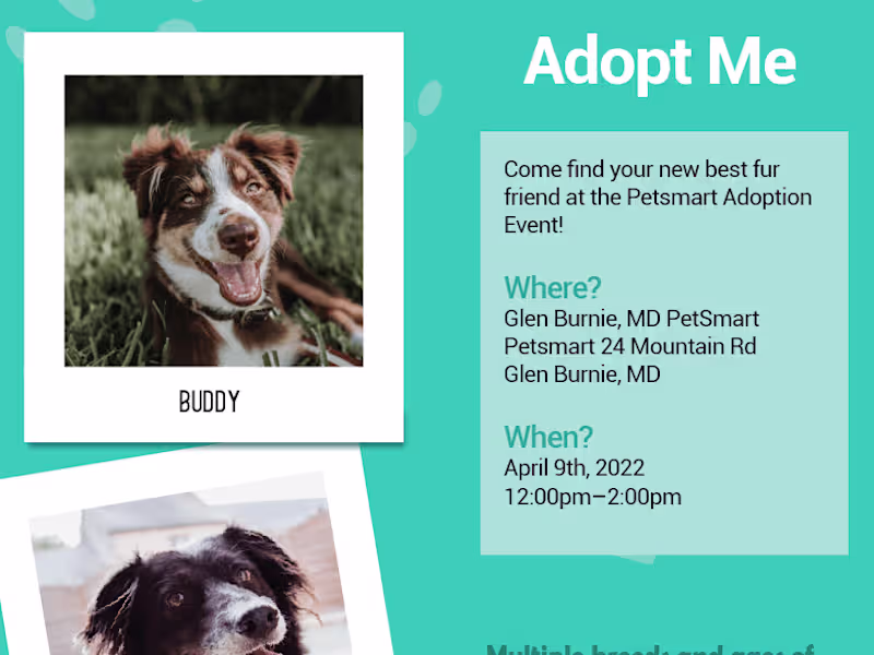 Cover image for Custom Flyer Design for your Event