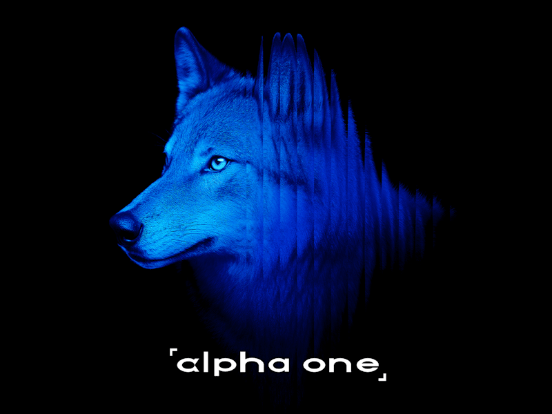 Cover image for Alpha One — Web site redesign