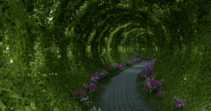 Cover image for Nature's Corridor
