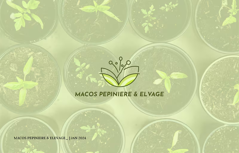 Cover image for Macos Brand Design : Behance