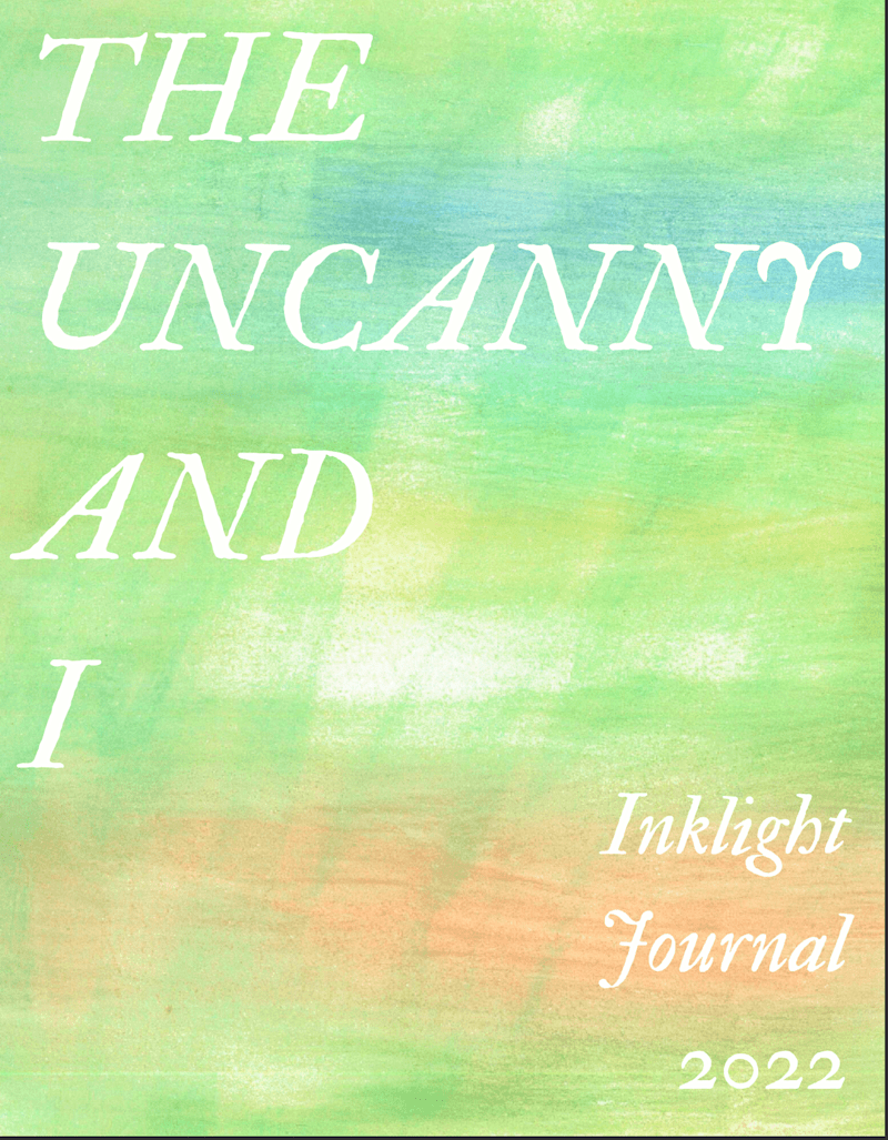 Cover image for My Double Sleeps in the Closet - Inklight Magazine