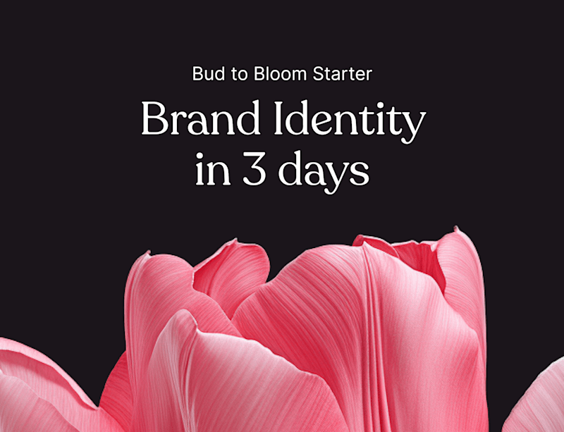 Cover image for Brand identity in 3 days: Bud to Bloom Starter 🌷