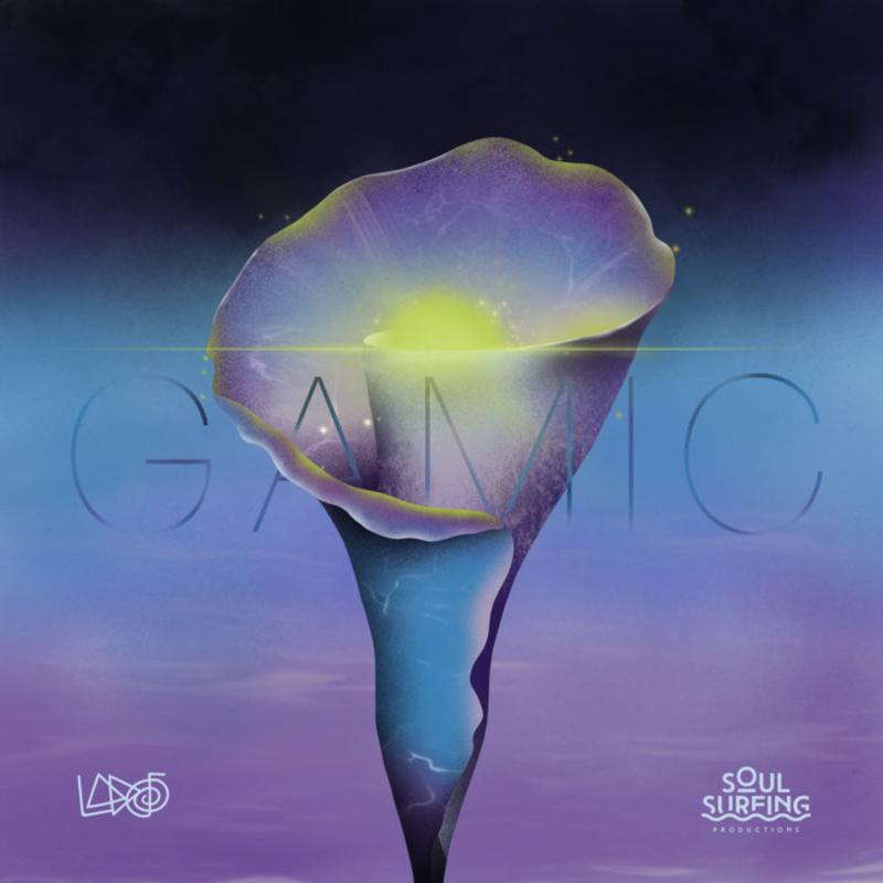 Cover image for Gamic EP, by Lado Rei