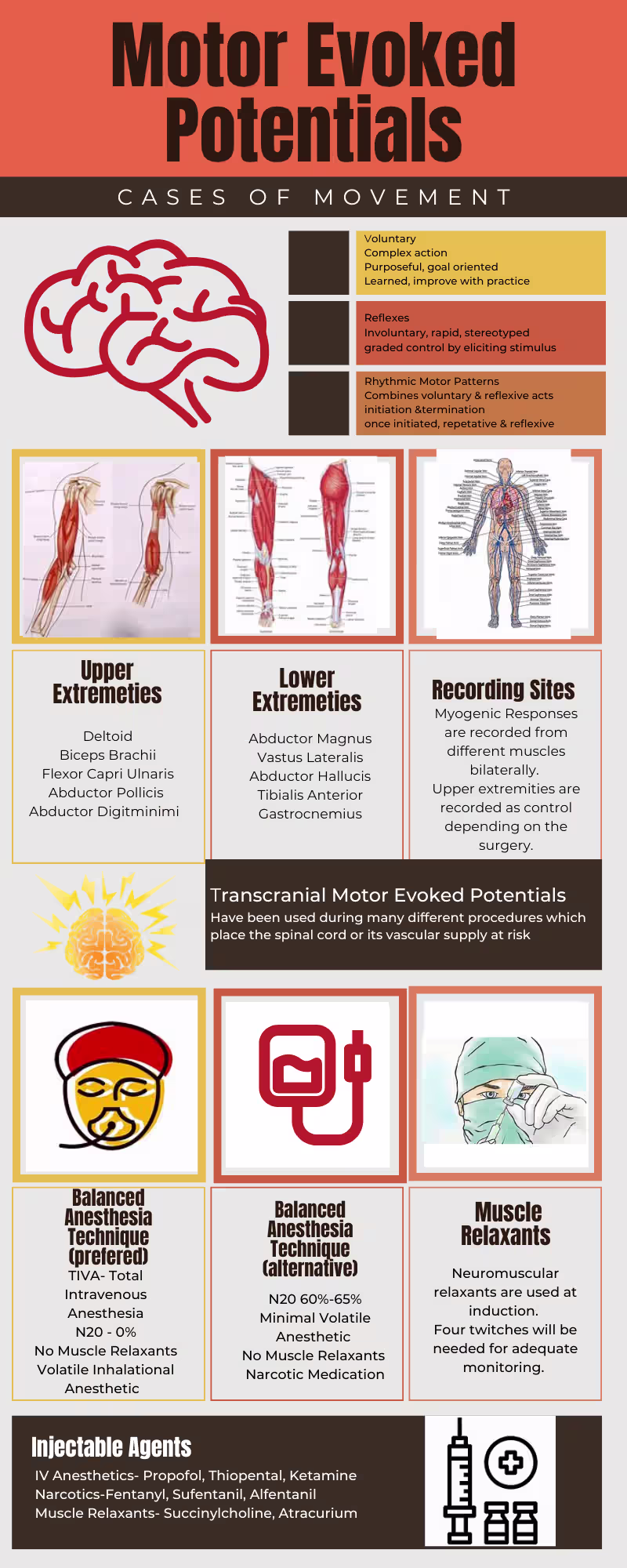 Cover image for I designed another infographic targeted towards the neurophy...