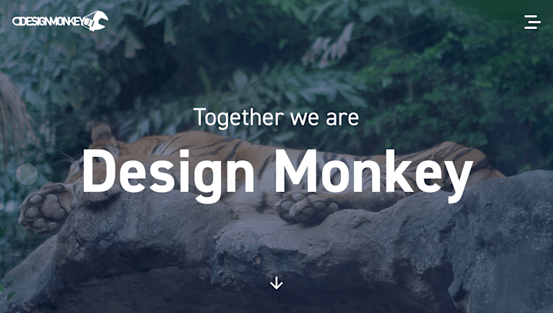 Cover image for Design Monkey - Full-stack Solution w/ React & Strapi CMS