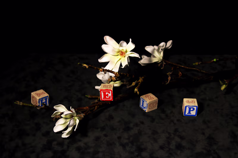 Cover image for Held Grief