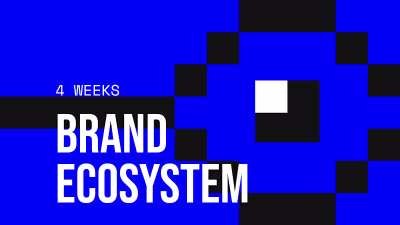 Cover image for Brand Ecosystem