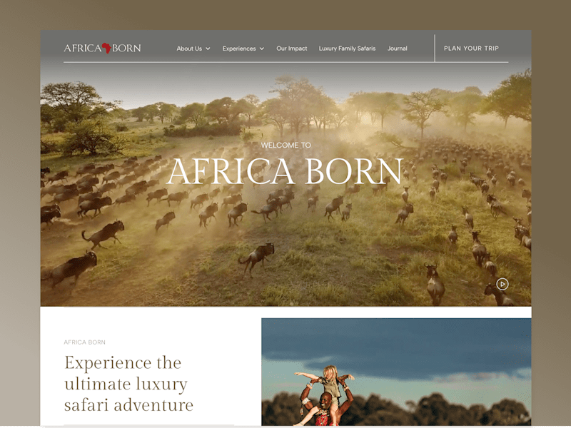 Cover image for Luxury safari with an experience-first website